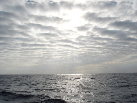 Researchers look at metals in the millimeter-thick sea surface microlayer to better understand how the layer can affect ocean health