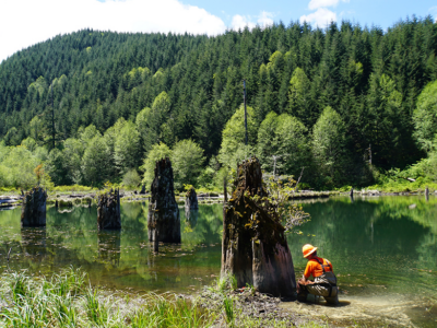 Il lago Klickitat nell'Oregon occidentale si è formato quando una frana che ha avuto origine lungo la linea boscosa della foresta ha arginato un corso d'acqua.