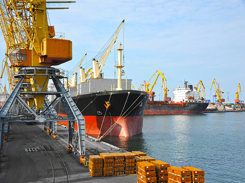 A bulk cargo ship docked under a port crane.
