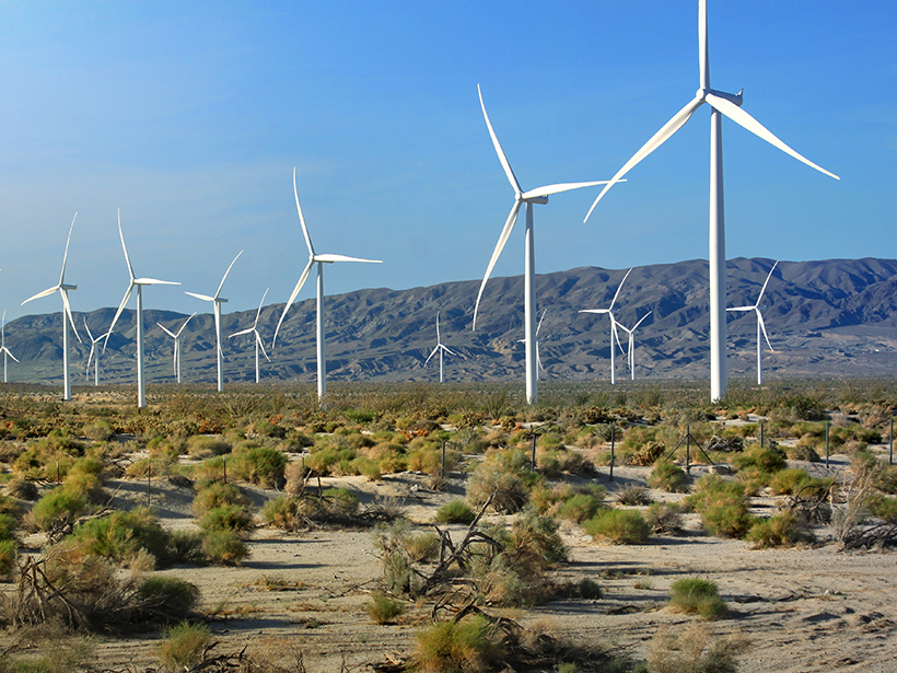 Wind turbines in California.