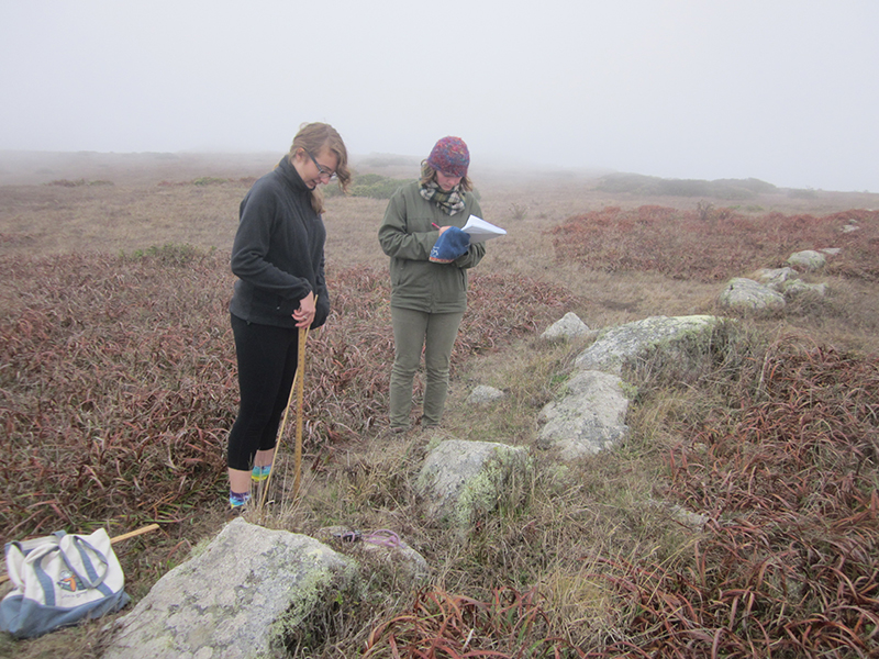 Students use surveying techniques to record data on an archaeology project