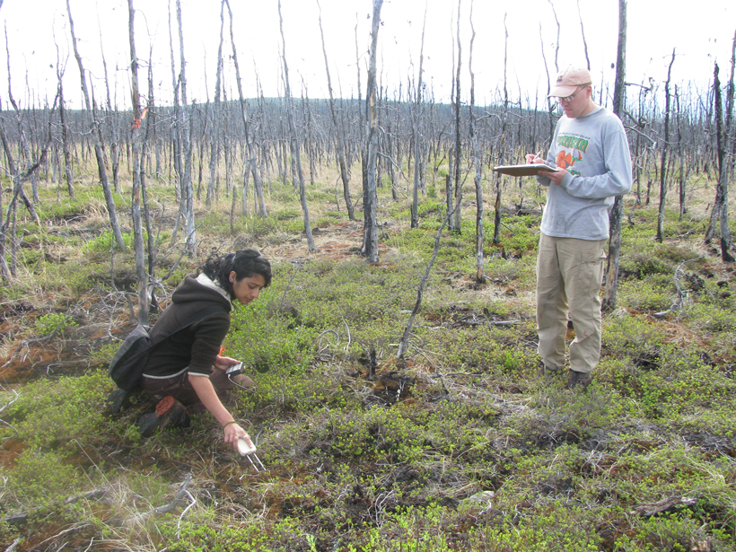 Scientists collect soil moisture data in Alaska.