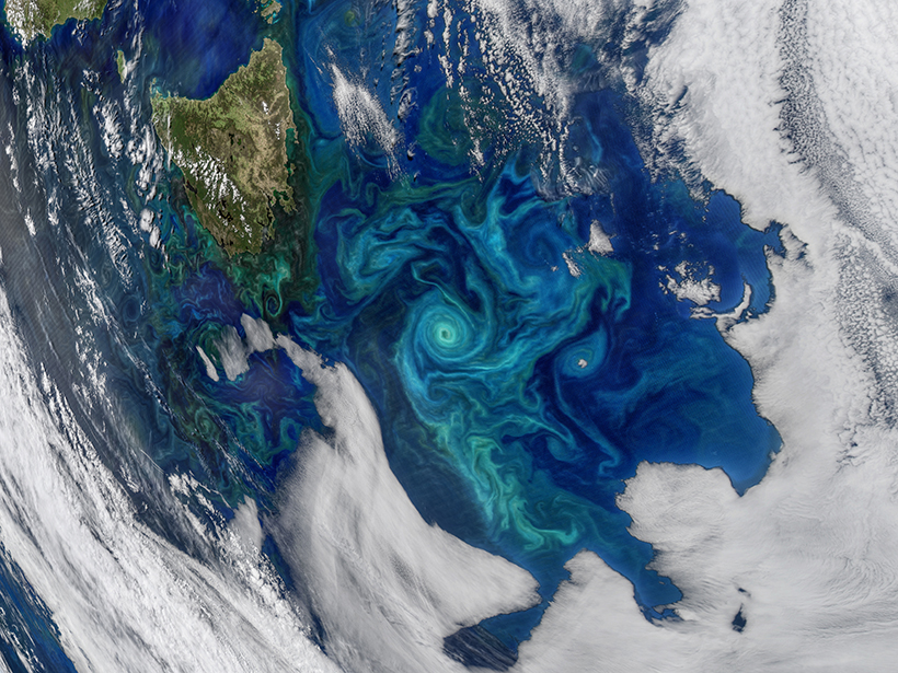 Phytoplankton bloom in the Tasman Sea captured by the MODIS instrument on the Aqua satellite on 21 November 2017.
