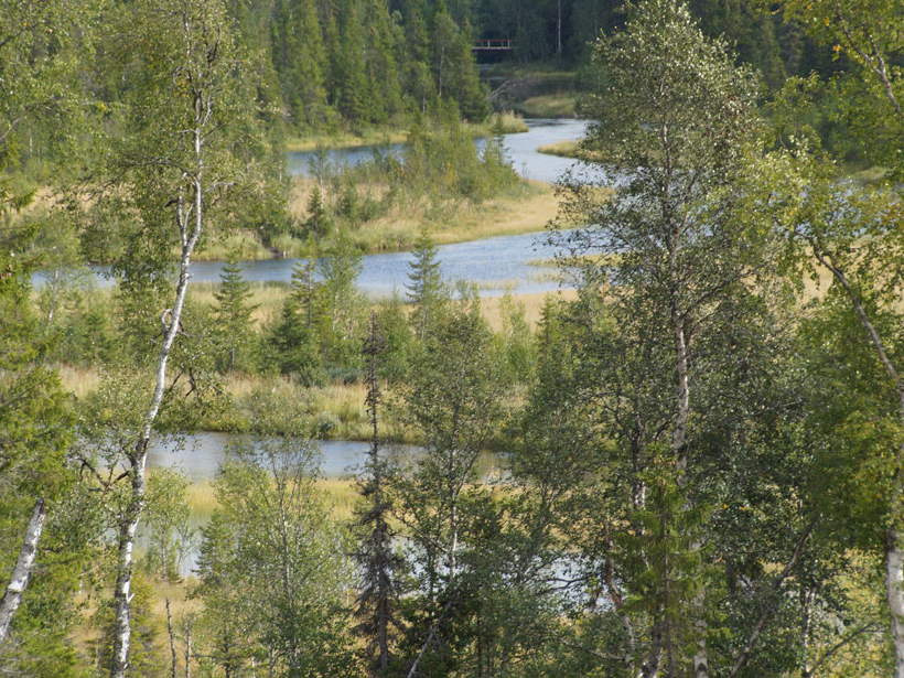 A boreal landscape in northern Sweden, the focus of new research on the carbon cycle