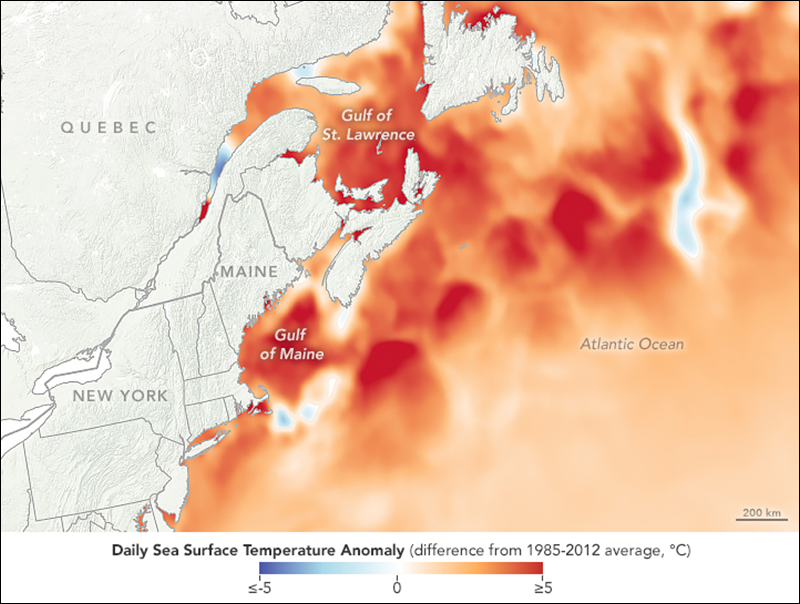 Data showing anomalous heat in the Gulf of Main