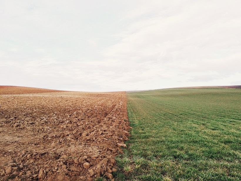 Tillaged (left) and vegetated (right) soils