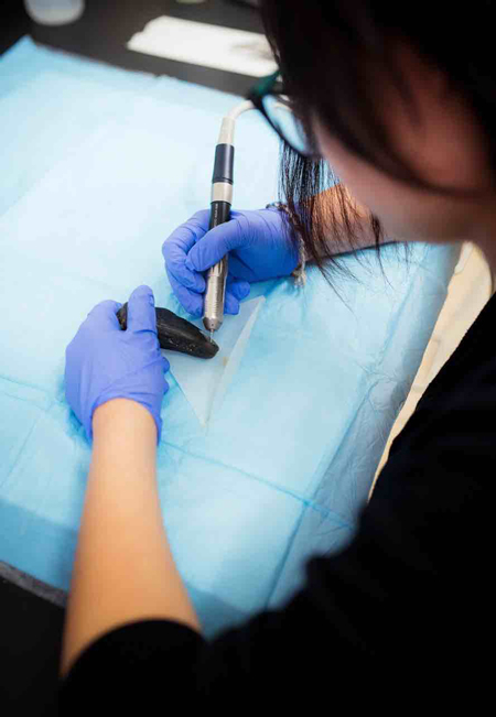 WPU undergraduate student Allison Neumann drills the enamel of an O. megalodon tooth from North Carolina. Allison Neumann drilling a megalodon tooth