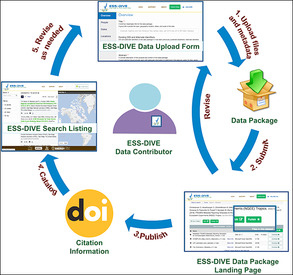 ESS-DIVE’s publication life cycle allows users to iteratively curate, package, and update their data and metadata.