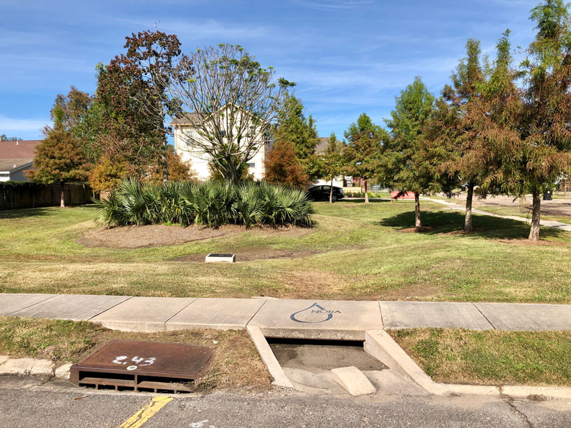 A New Orleans rain garden provides an innovative approach to water management