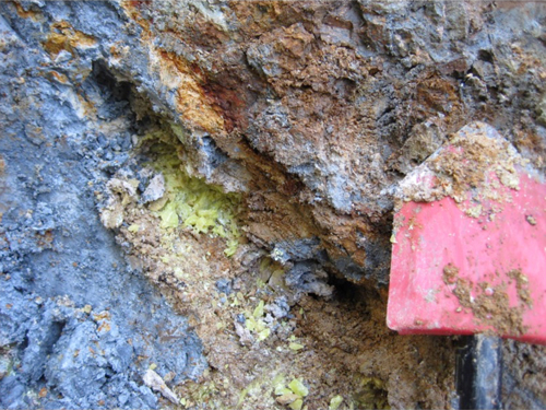 This blue clay from Oregon was especially successful at killing bacteria. This blue clay from Oregon was especially successful at killing bacteria.