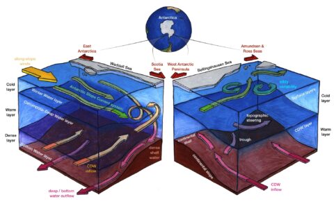 Antarctic Slope Current