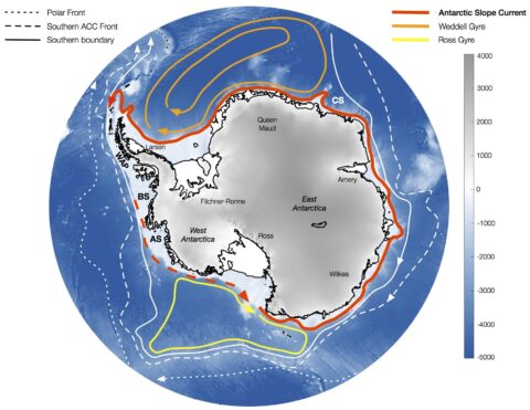 Oceanic circulation around Antarctica