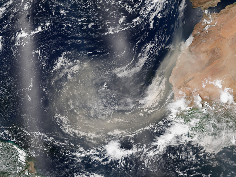 A satellite view of Saharan dust plumes over the Atlantic Ocean