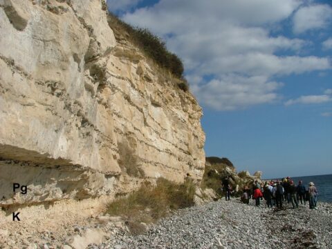 Cretaceous-Paleogene boundary Cretaceous-Paleogene boundary