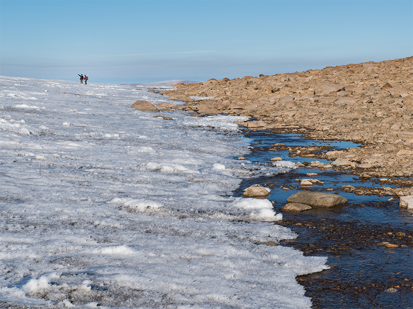 Simon Pendleton and Gifford Miller collecting ancient plants preserved beneath an ice cap on Baffin Island