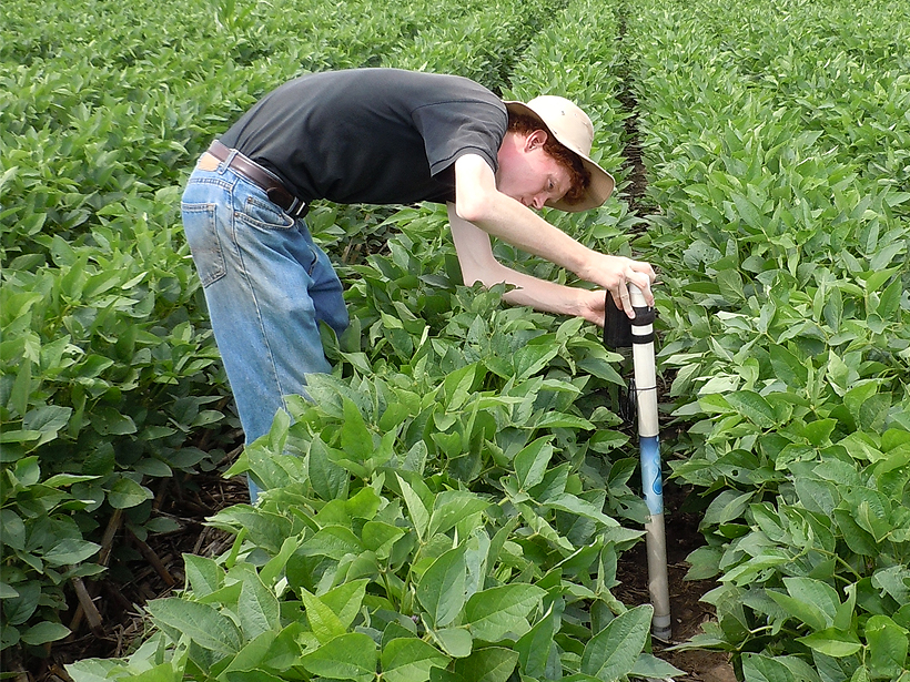 A student collects soil moisture data from an instrument in the field.