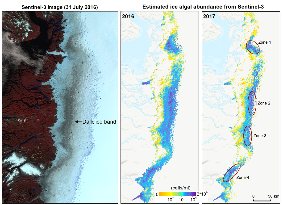 Algal blooms as seen from and Earth orbiting satellite