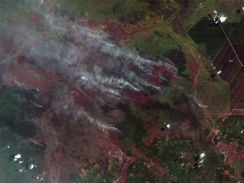 Satellite image of small fires burning in agriculturally developed land