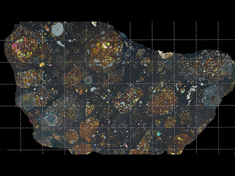 A reflected-light image of the comet-containing meteorite