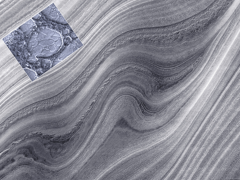 Martian Polar Layered Deposits