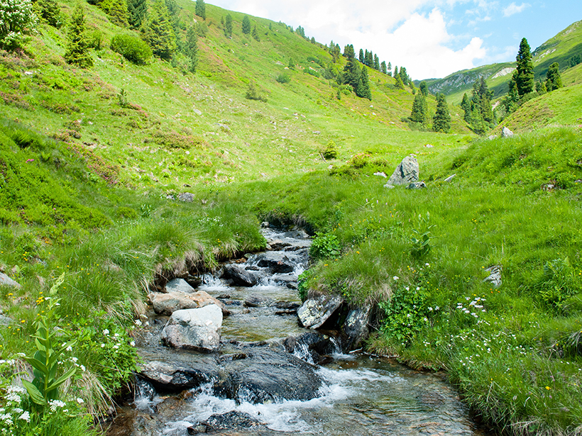 A stream flowing down a valley
