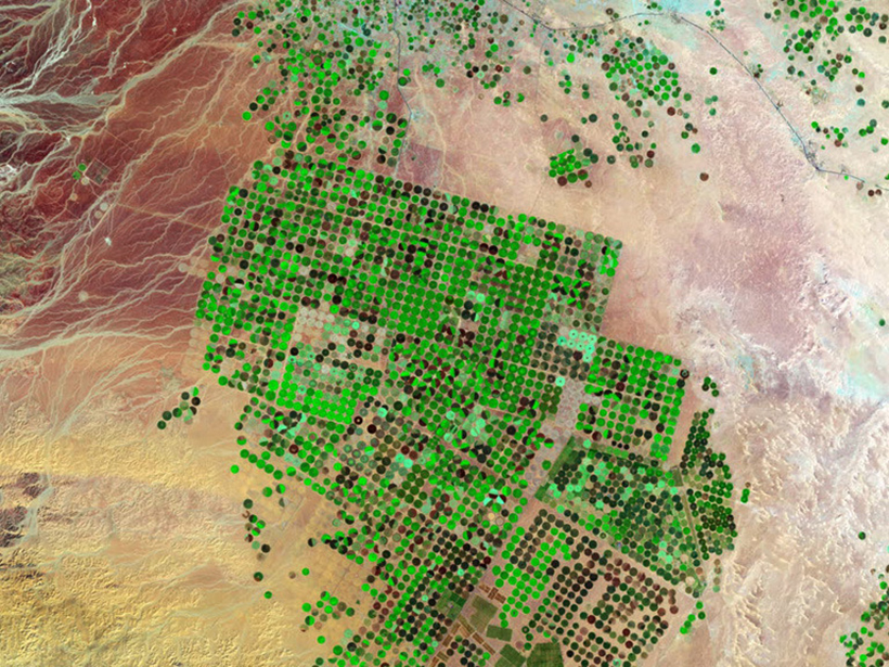 Satellite image of irrigation in the desert