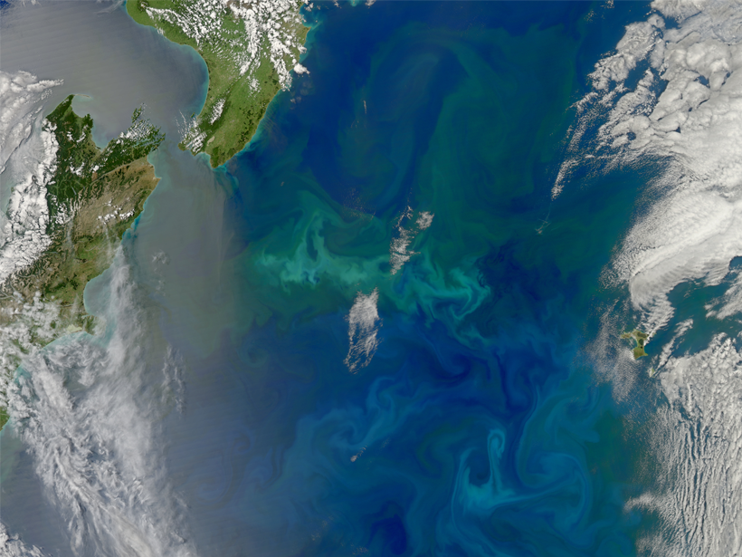 Phytoplankton bloom over the study area in the South Pacific Ocean