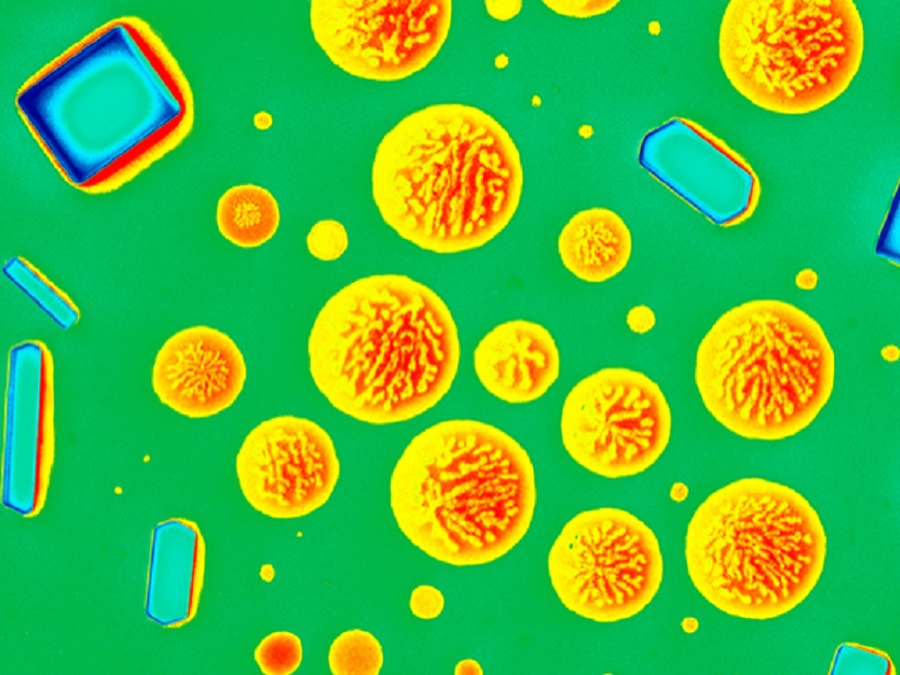 SEM images of particles from SOAS field campaign Credit Amy Bondy