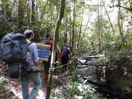 Installing the seismometer network required the team to hike to remote locations, including the jungles in the Maliau Basin.