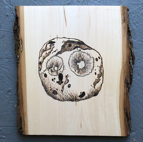 Depiction of asteroid 16 Psyche in woodburning