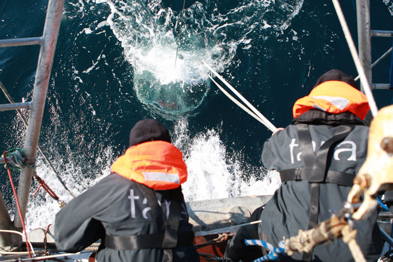 Samples being collected during the Tara Oceans expedition