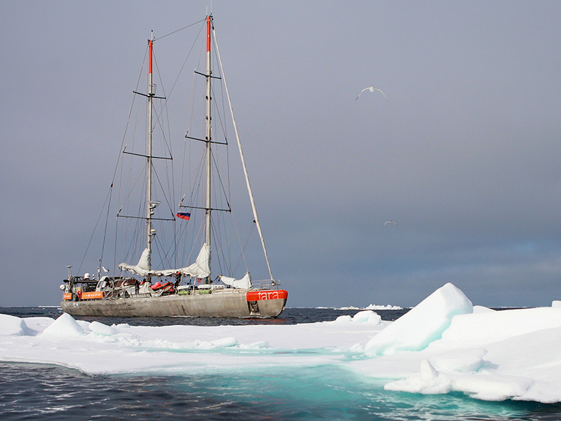Tara Oceans expedition ship in the Arctic