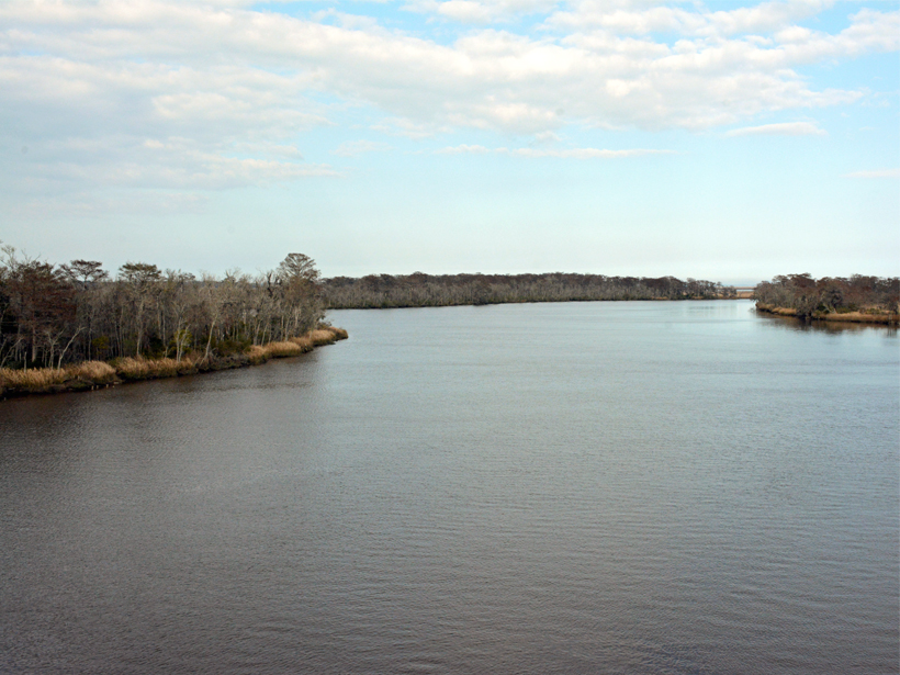 Photo of a river limned by marshlands