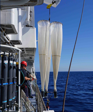 Crew members prepare to deploy plankton nets during a research cruise. Crew members prepare to deploy plankton nets during a research cruise.