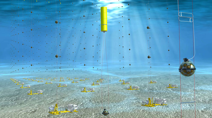 An artist’s impression of the KM3NeT detector array