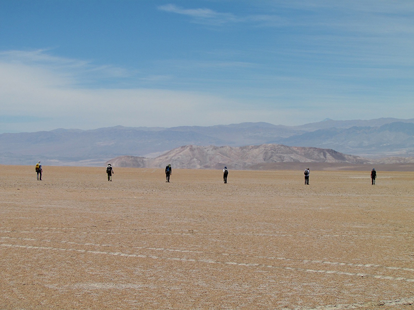 Six people fan out in a line, searching the ground for rocky meteorites in the Atacama Desert