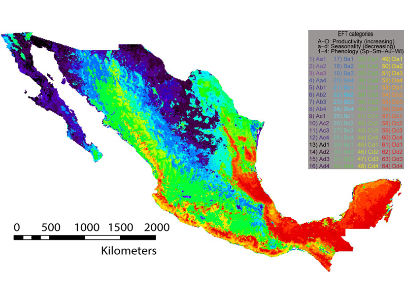 Spatial cluster analysis of carbon uptake in Mexico