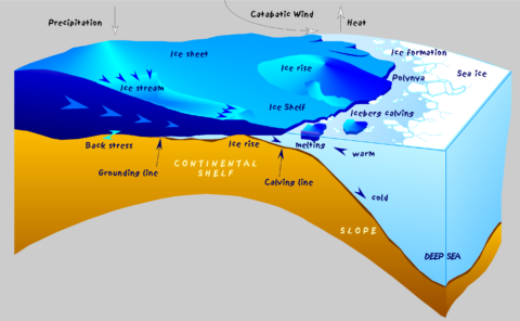 Diagram of Antarctic ice shelf at the ice-ocean boundary Diagram of Antarctic ice shelf at the ice-ocean boundary