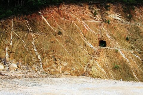 Mineralized quartz veins