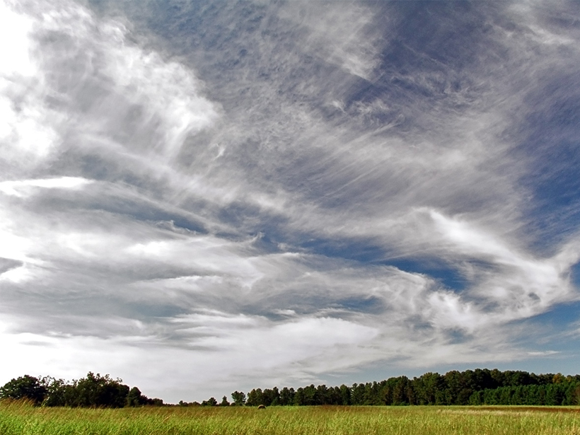 Wispy cirrus clouds hover high above an open farm field.