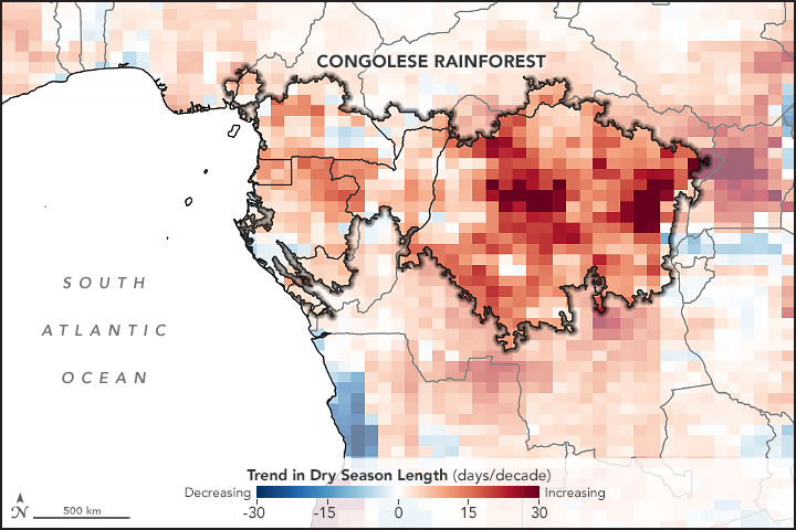 Gridded red and blue map of dry season lengthening in the Congo Basin