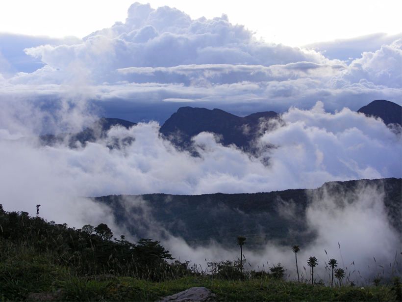 A photograph of an Andean páramo that is awash in clouds.