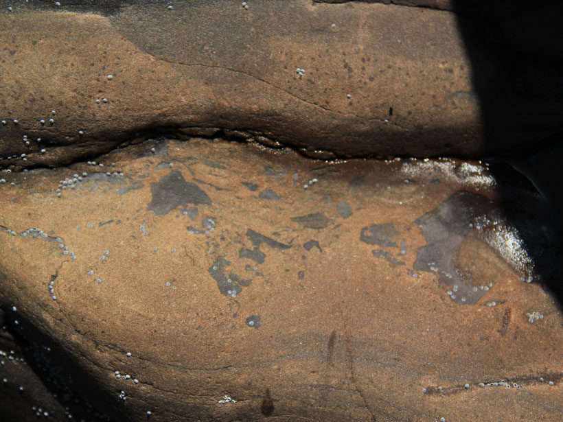 Close-up photo of tan sandstone with gray splotches