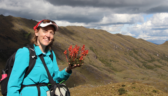 A photograph of biogeographer Suzette Flantua holding a scarlet-colored flower that may be part of a new species of plant. A photograph of biogeographer Suzette Flantua holding a scarlet-colored flower that may be part of a new species of plant.