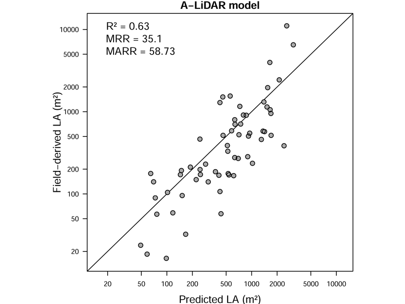 Graph showing performance of remote sensing-based model for leaf area