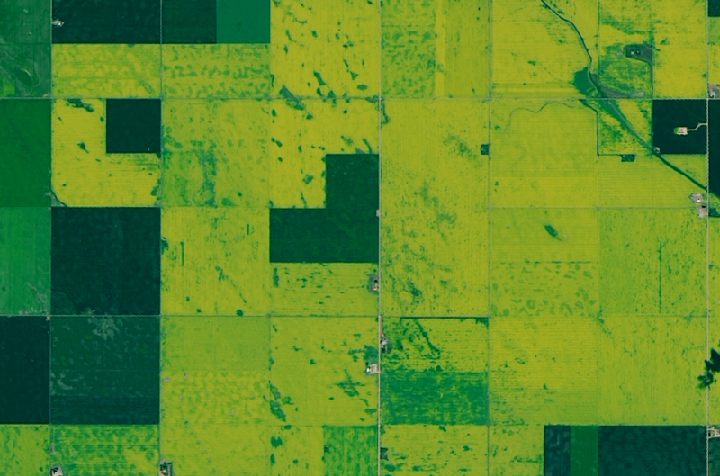 Satellite image of green squares of farmland Satellite image of green squares of farmland
