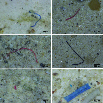 Samples of the synthetic fibers found by the researchers Samples of the synthetic fibers found by the researchers