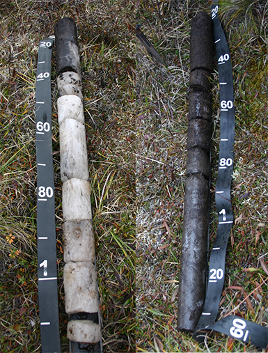 These soil cores, drilled from tundra on the North Slope of Alaska, provide essential information for carbon flux studies.