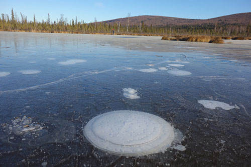 Methane bubbling in Arctic lake