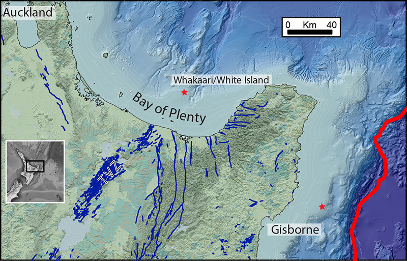 Map showing the location of the Bay of Plenty off the northern coast of New Zealand